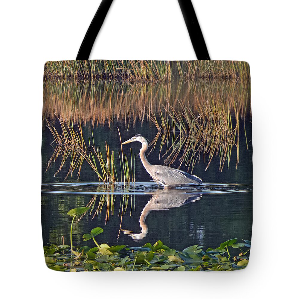 Florida Tote Bag featuring the photograph Blue Alert by T Guy Spencer