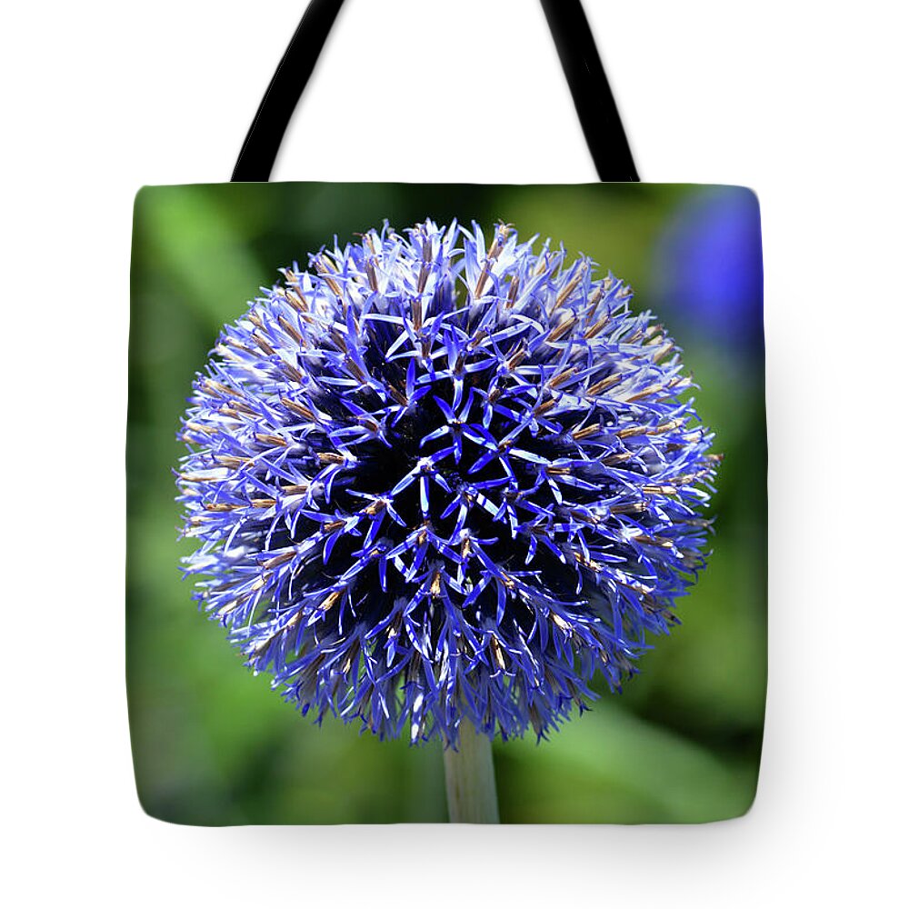Allium Tote Bag featuring the photograph Blue Allium by Terence Davis