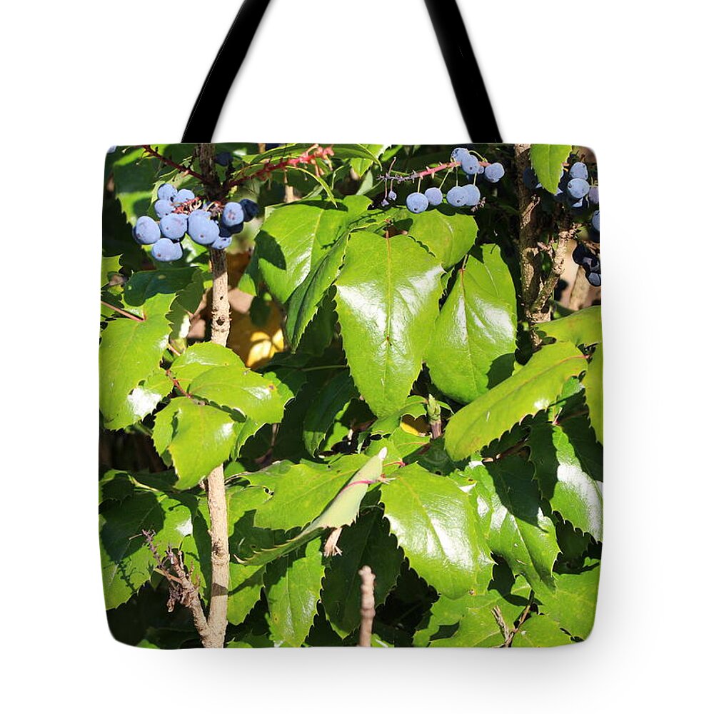 Blue Berry Bush Tote Bag featuring the photograph Blue Berry Bush 7 by Zachary Lowery