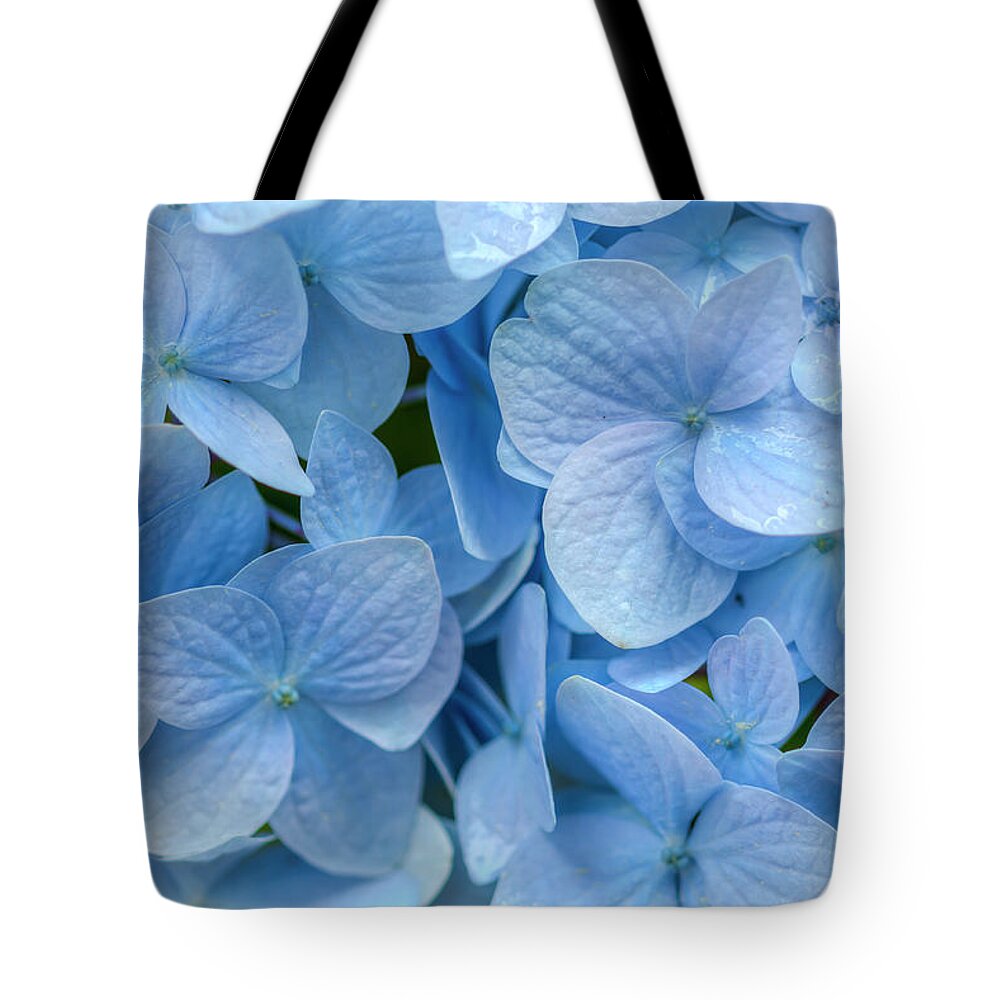Hydrangea Tote Bag featuring the photograph Blue Cluster by Kristina Rinell
