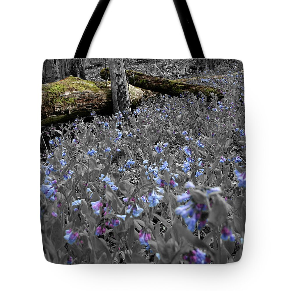 Fallen Tree Tote Bag featuring the photograph Blue Comfort by Dylan Punke
