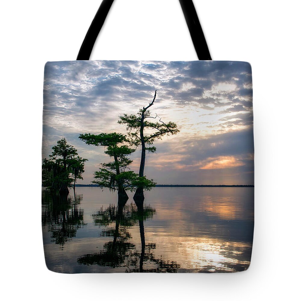Crystal Yingling Tote Bag featuring the photograph Blue Cypress Sunrise #2 by Ghostwinds Photography