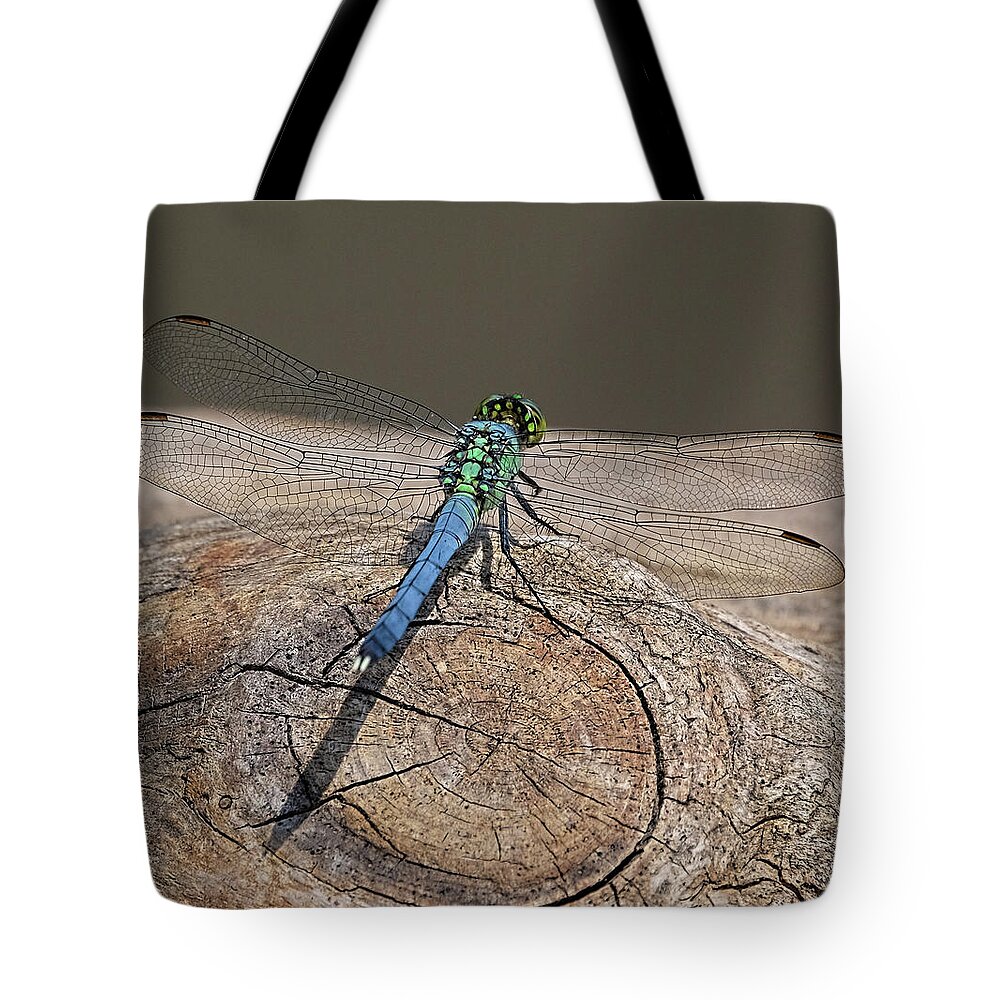 Dragonfly Tote Bag featuring the photograph Blue Dragonfly on log by Ronda Ryan