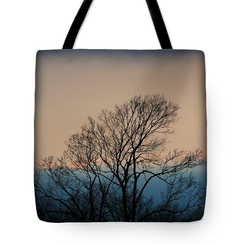 Home Tote Bag featuring the photograph Blue Dusk by Chris Berry
