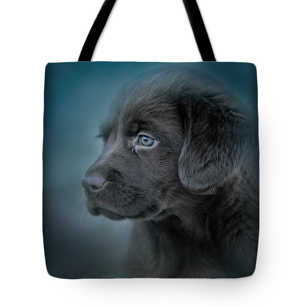 Jai Johnson Tote Bag featuring the photograph Blue Eyed Puppy by Jai Johnson