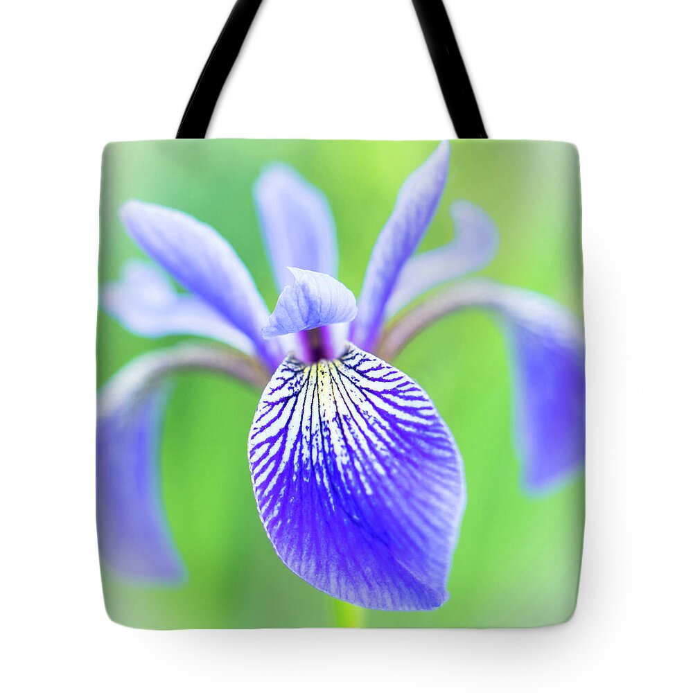 Iris Tote Bag featuring the photograph Blue Flag Iris as a bee sees it by Jim Hughes
