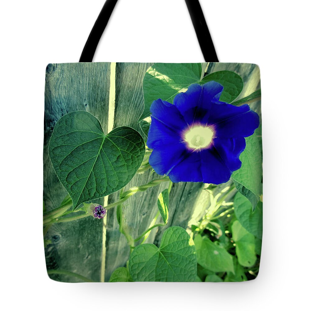Flower Tote Bag featuring the photograph Blue Glory Bloom by Tony Grider