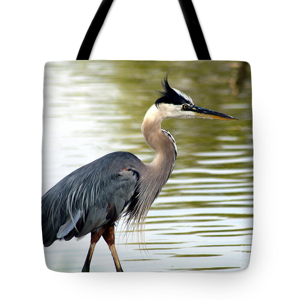 Clay Tote Bag featuring the photograph Blue Heron by Clayton Bruster