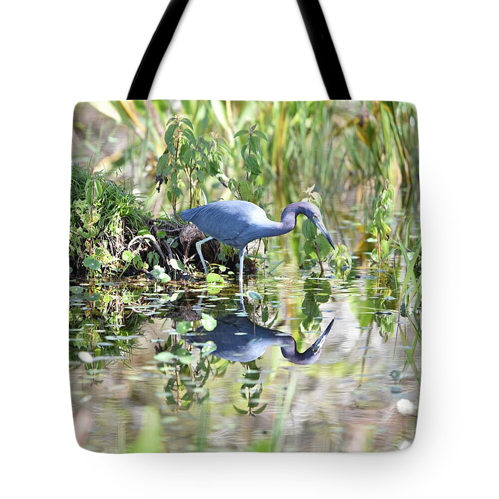 Blue Heron Tote Bag featuring the photograph Blue Heron Fishing in a Pond in Bright Daylight by Artful Imagery