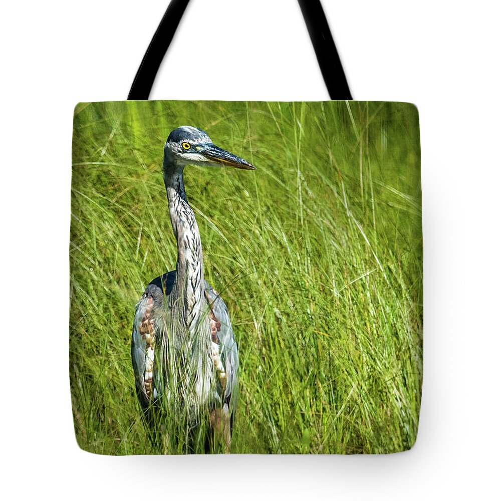 Wildlife Tote Bag featuring the photograph Blue Heron In A Marsh by Paul Freidlund