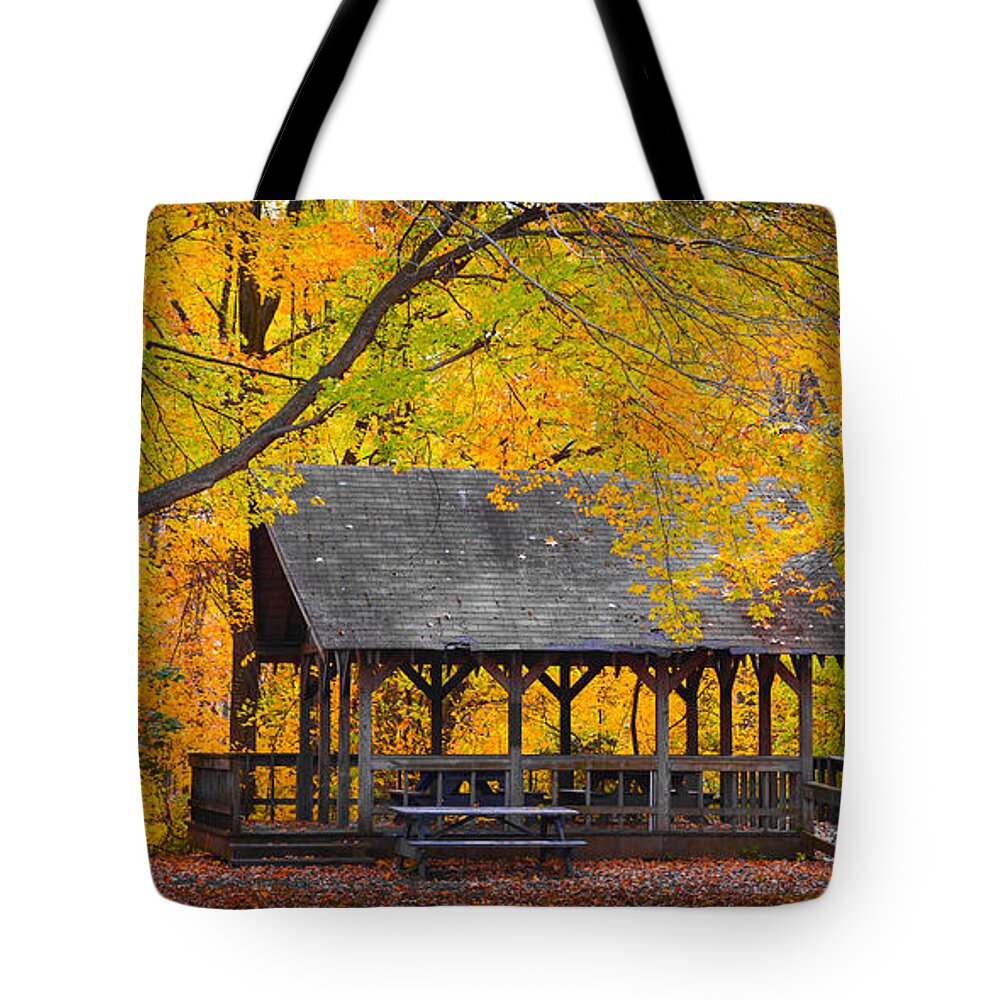 Blue Heron Park In The Fall Tote Bag featuring the photograph Blue Heron park in the fall by Kenneth Cole