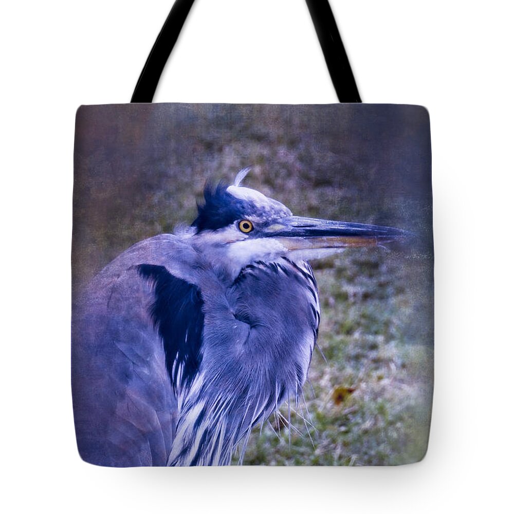 Bird Tote Bag featuring the photograph Blue Heron Portrait by Ella Kaye Dickey