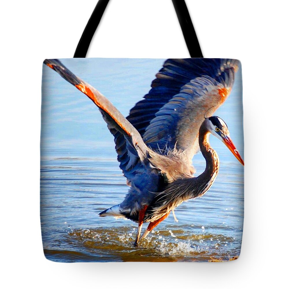 Blue Heron Tote Bag featuring the photograph Blue Heron by Sumoflam Photography