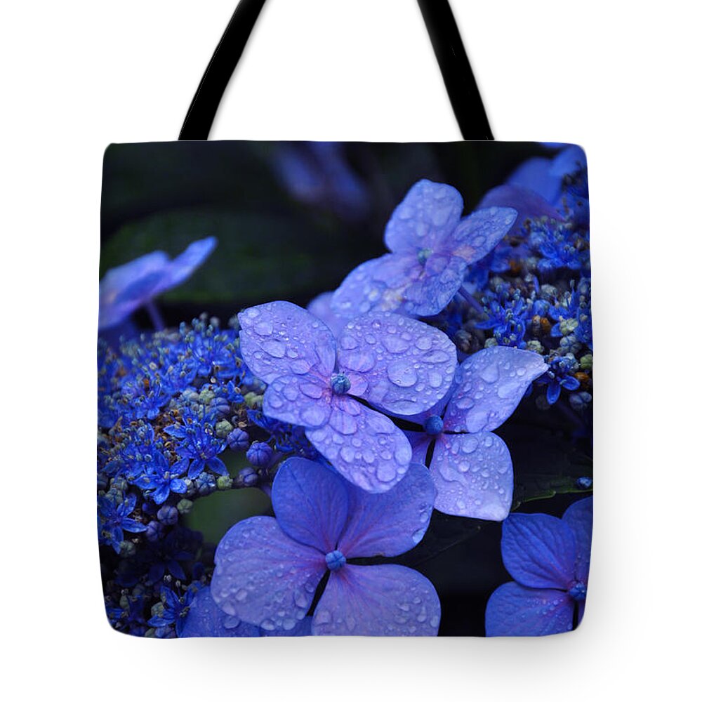 Flowers Tote Bag featuring the photograph Blue Hydrangea by Noah Cole