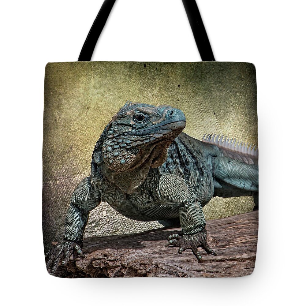 Animal Tote Bag featuring the photograph Blue Iguana by Teresa Wilson