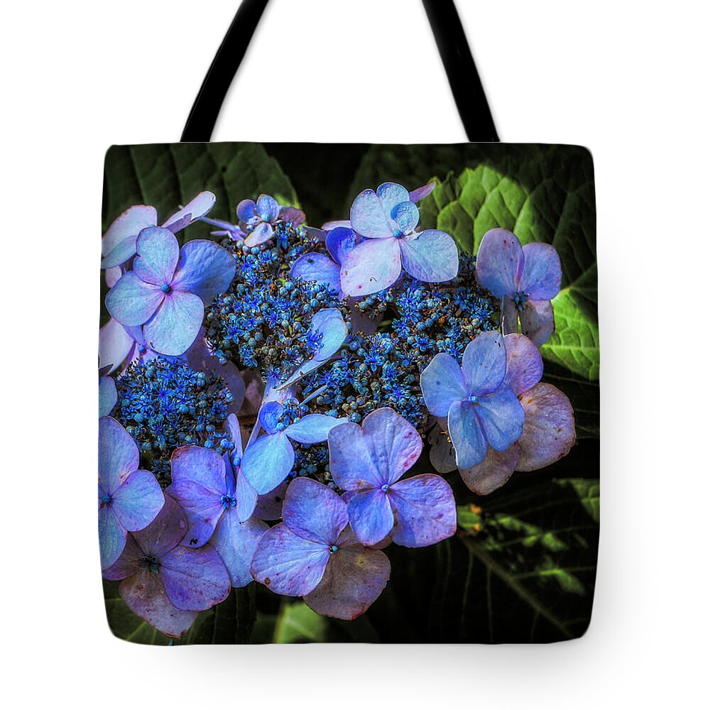 Flowers Tote Bag featuring the photograph Blue In Nature by Elaine Malott