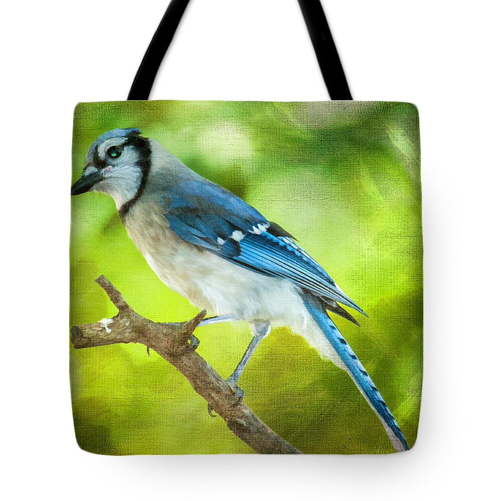 Bird Tote Bag featuring the photograph Blue Jay by Cathy Kovarik