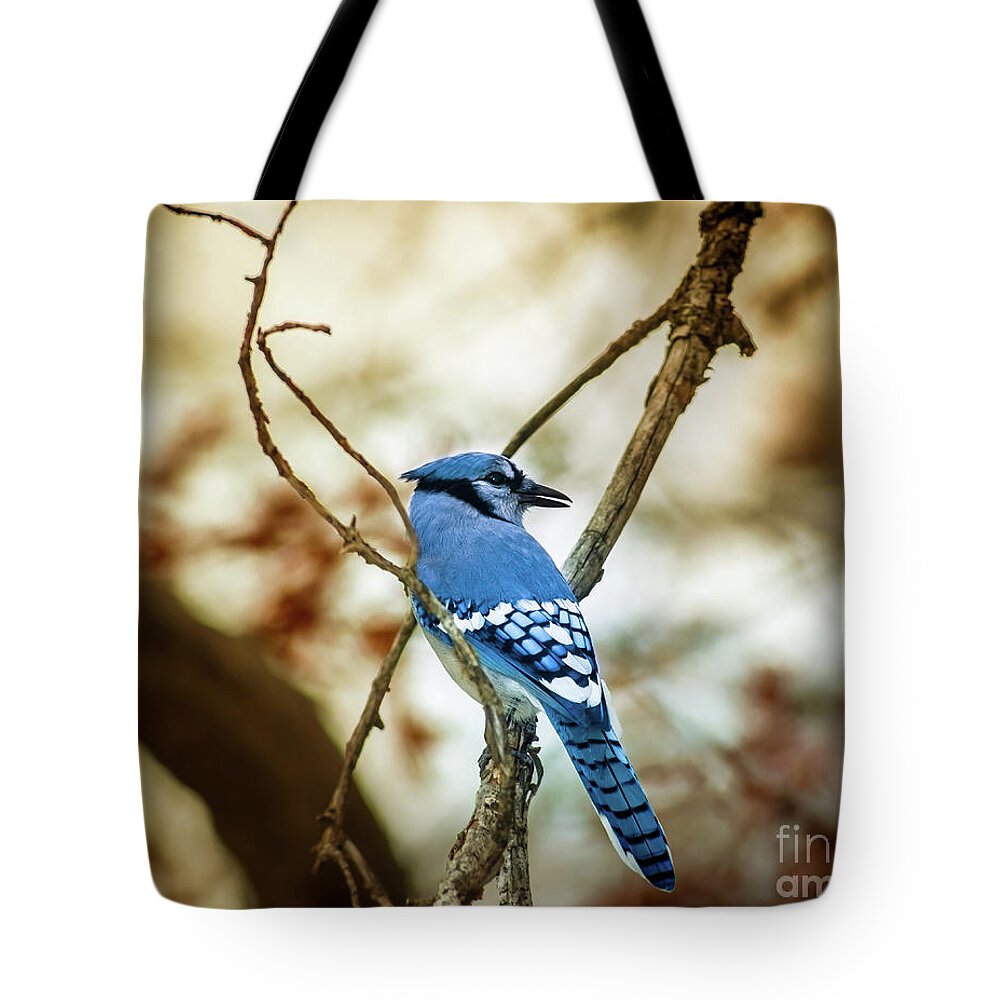 Nature Tote Bag featuring the photograph Blue Jay by Robert Frederick