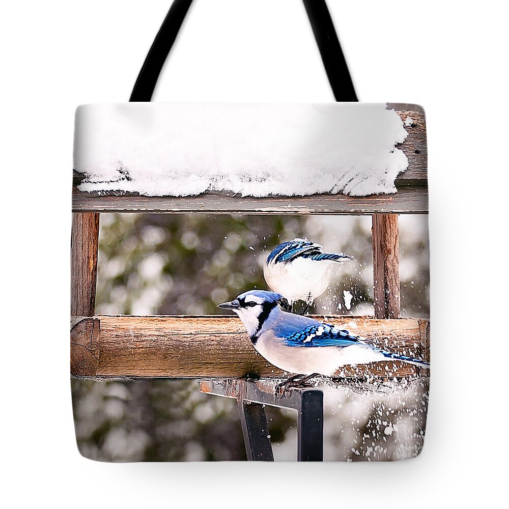 Blue Jays Tote Bag featuring the photograph Blue Jays in Winter by Gwen Gibson