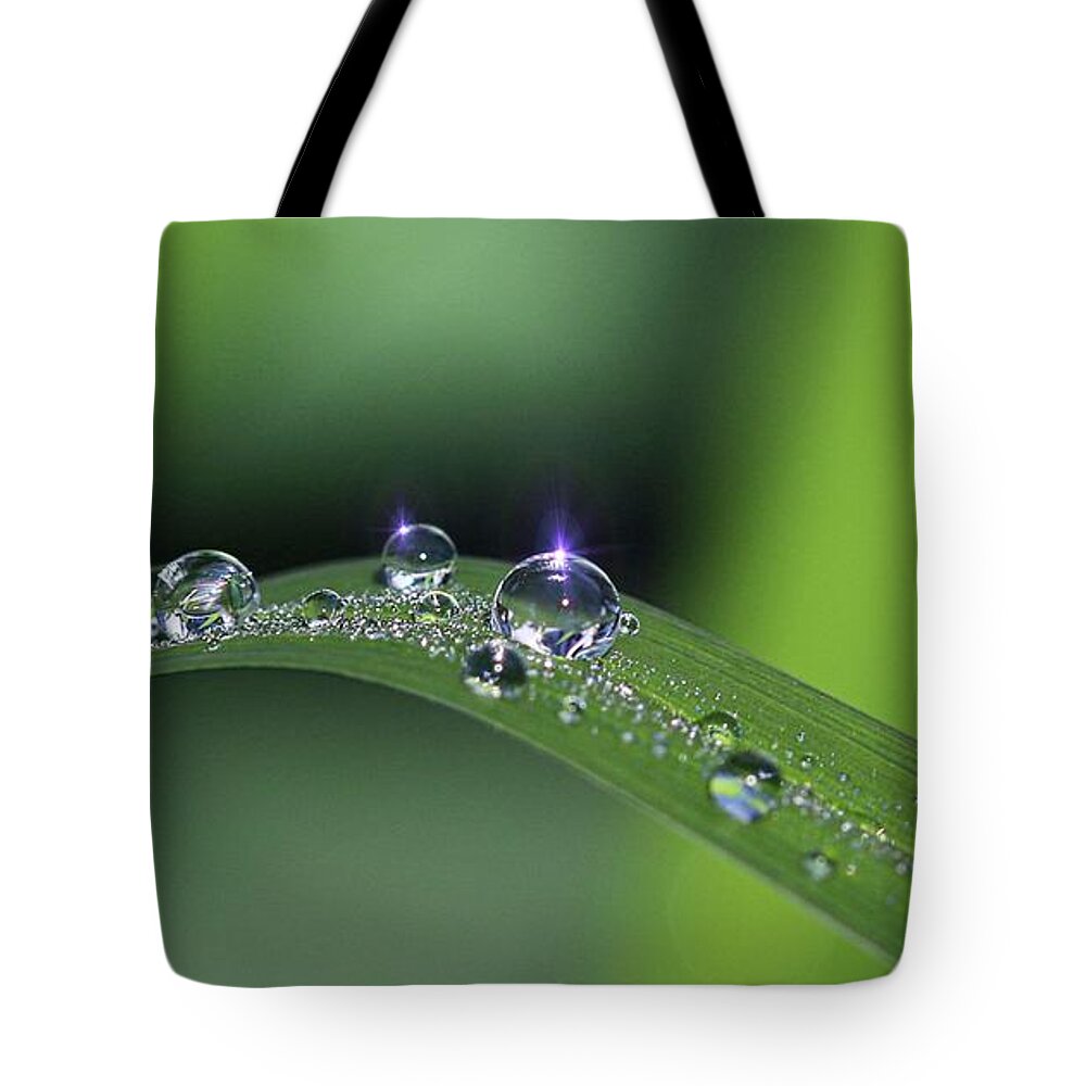Droplets Tote Bag featuring the photograph Blue light on the Droplets by Yumi Johnson