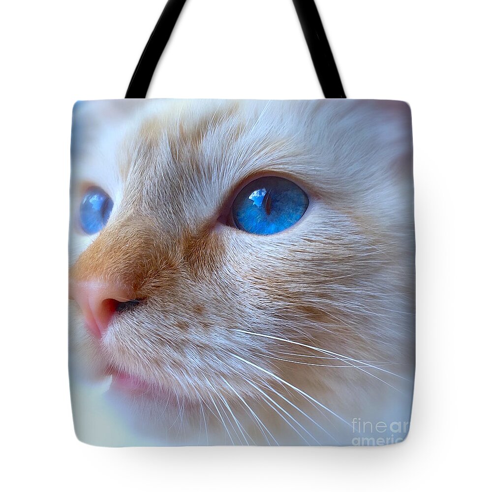 Animal Tote Bag featuring the photograph Blue look by Wonju Hulse