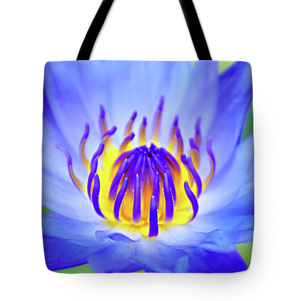Lotus Tote Bag featuring the photograph Blue Magic by Iryna Goodall