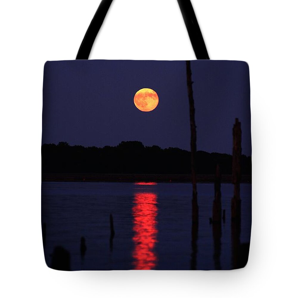 Blue Moon Tote Bag featuring the photograph Blue Moon by Raymond Salani III