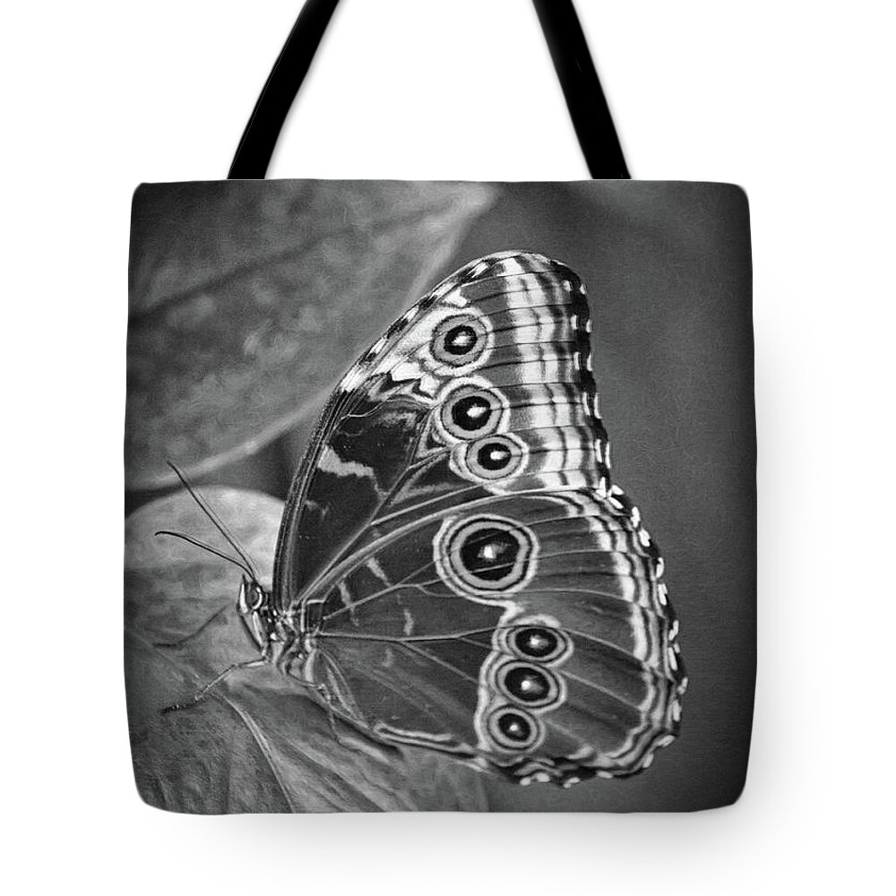 In Focus Tote Bag featuring the photograph Blue Morpho Butterfly Black And White by Sharon McConnell