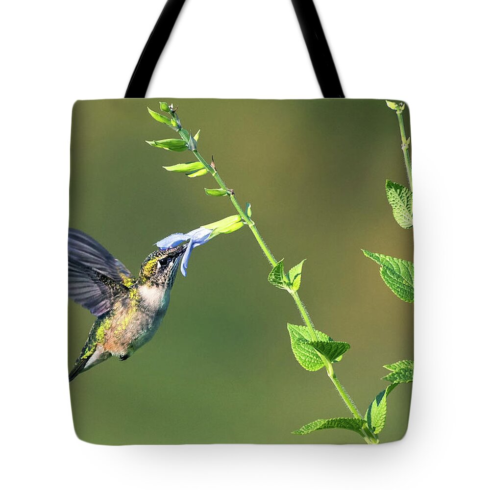 Ruby-throated Hummingbird Tote Bag featuring the photograph Blue Nectar by Art Cole