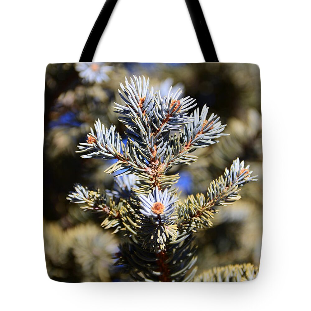  Yellow Tote Bag featuring the photograph Blue needles by Robert WK Clark
