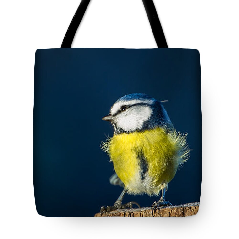 Blue On Blue Tote Bag featuring the photograph Blue on Blue by Torbjorn Swenelius