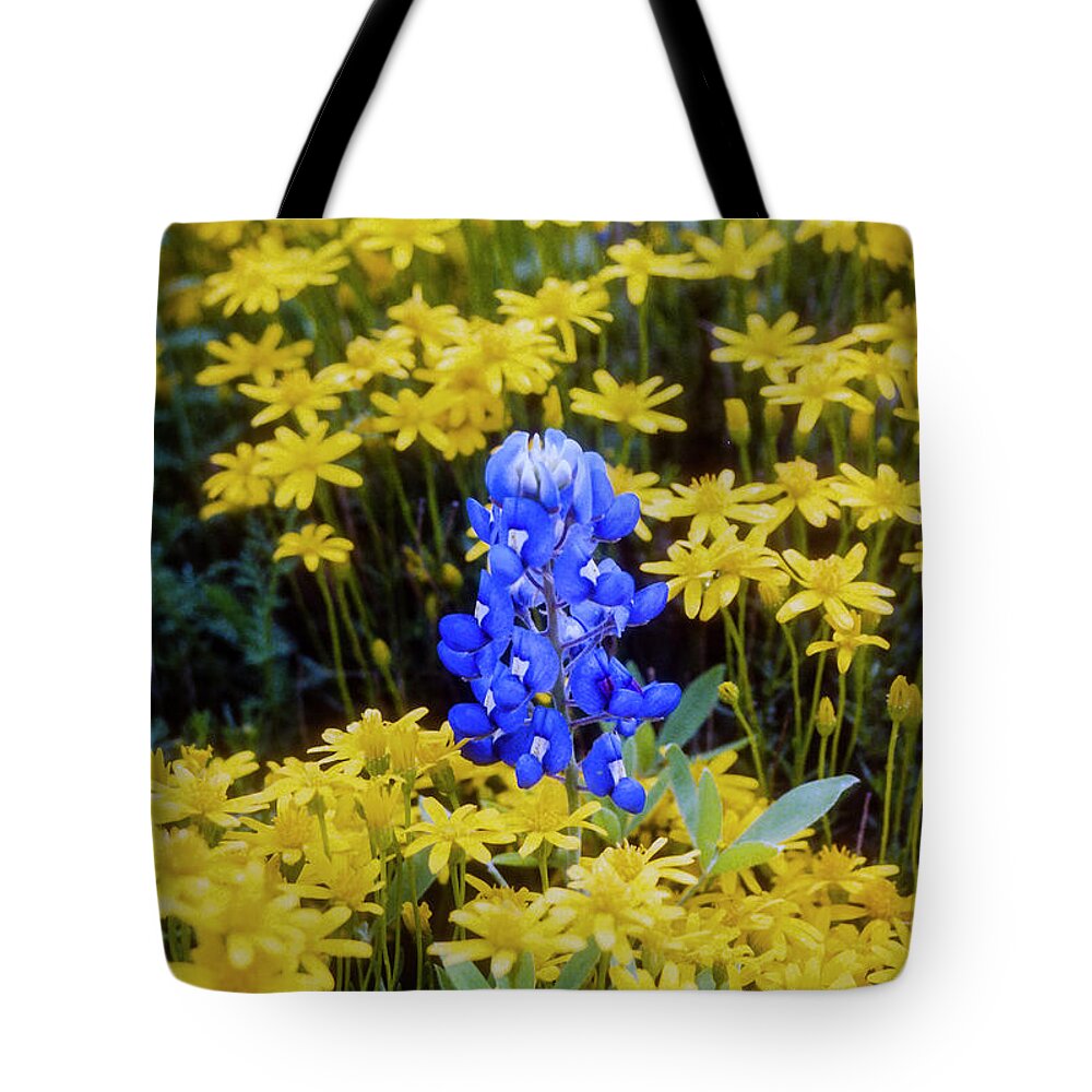 Lady Bird Johnson Wildflower Center Tote Bag featuring the photograph Blue on Yellow by Bob Phillips