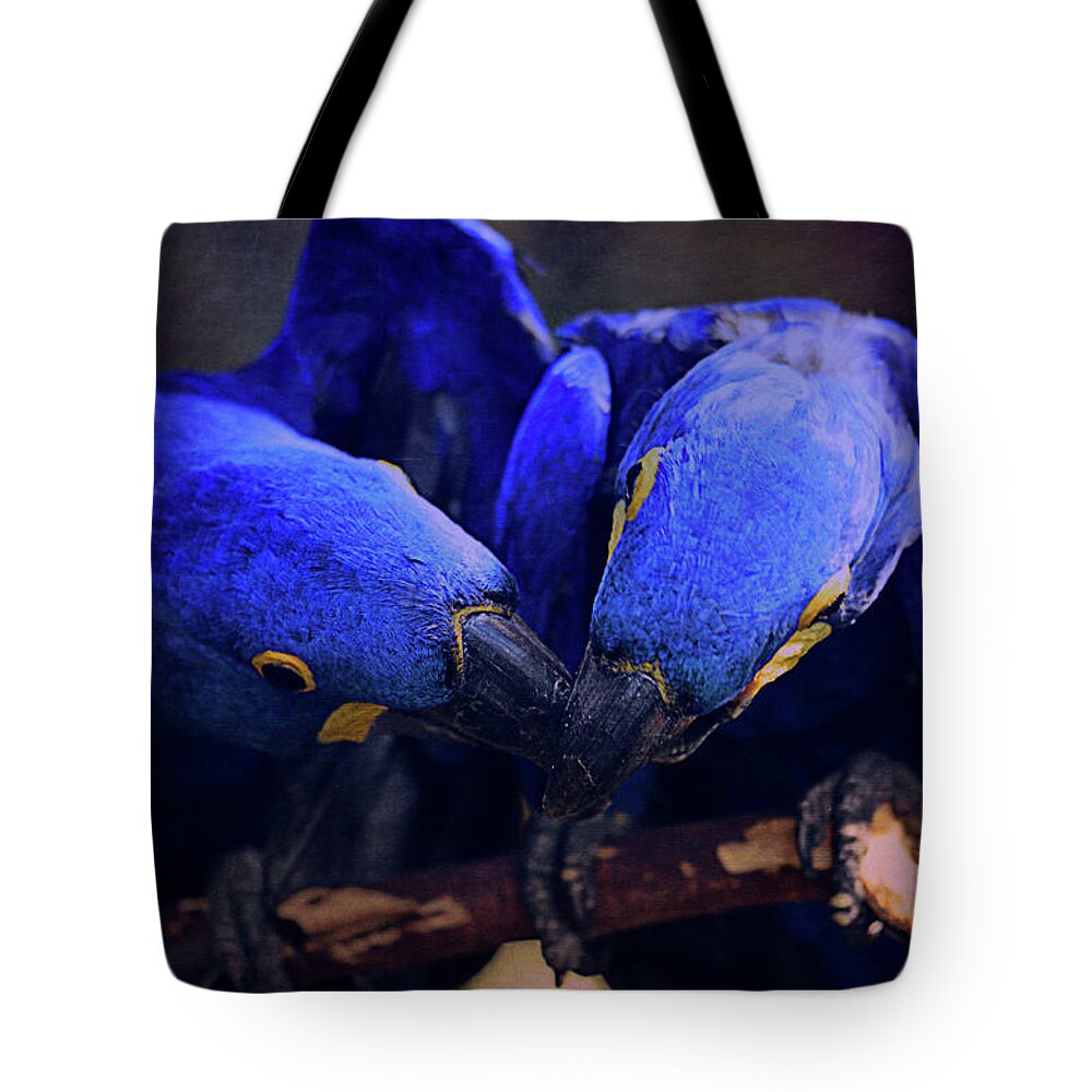 Parrot Tote Bag featuring the photograph Blue Parrots by Maria Angelica Maira