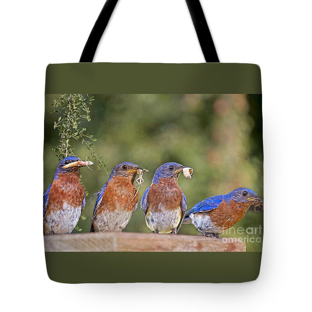 Male Eastern Bluebirds Tote Bag featuring the photograph Blue Plate Lunch Special by Bonnie Barry