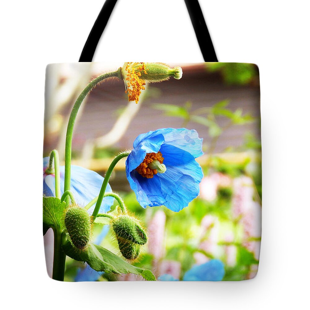 Himalayan Blue Poppy Tote Bag featuring the photograph Blue Poppy by Zinvolle Art