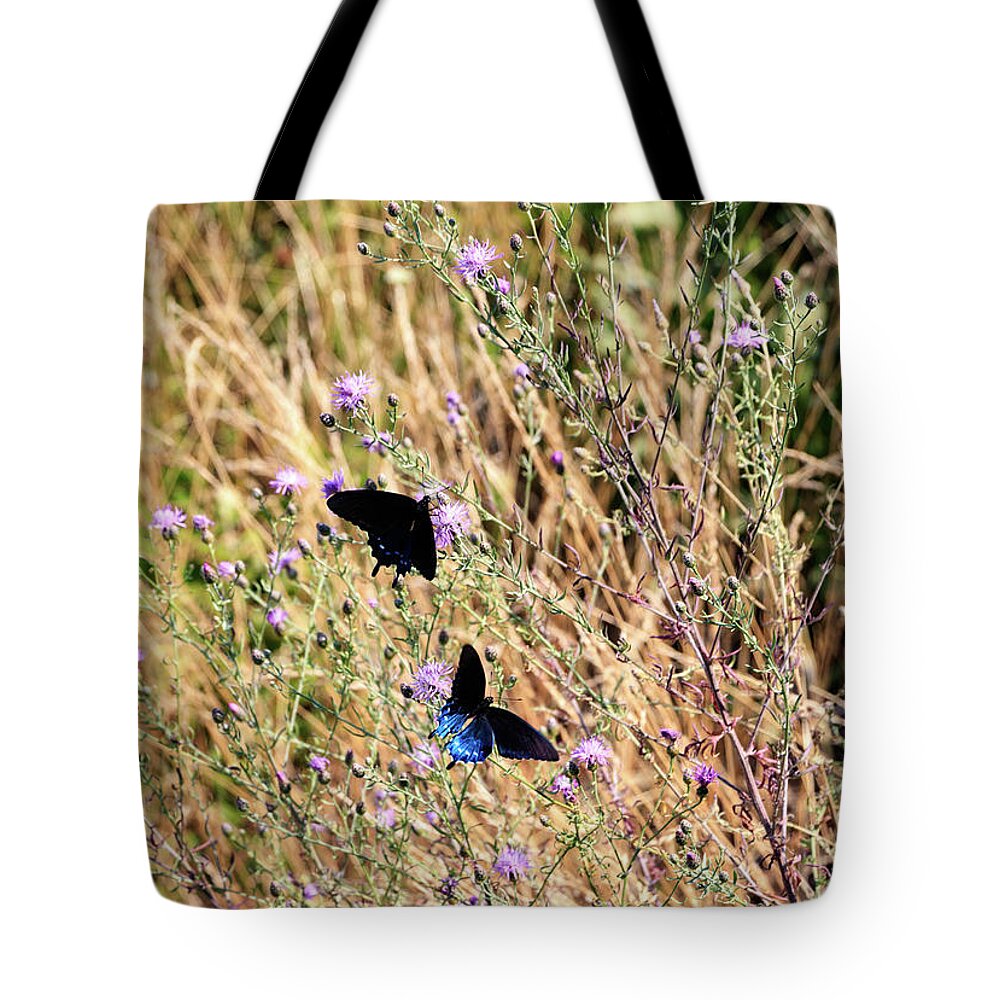 Butterfly Tote Bag featuring the photograph Blue Ridge Butterflies 3 by Matt Sexton