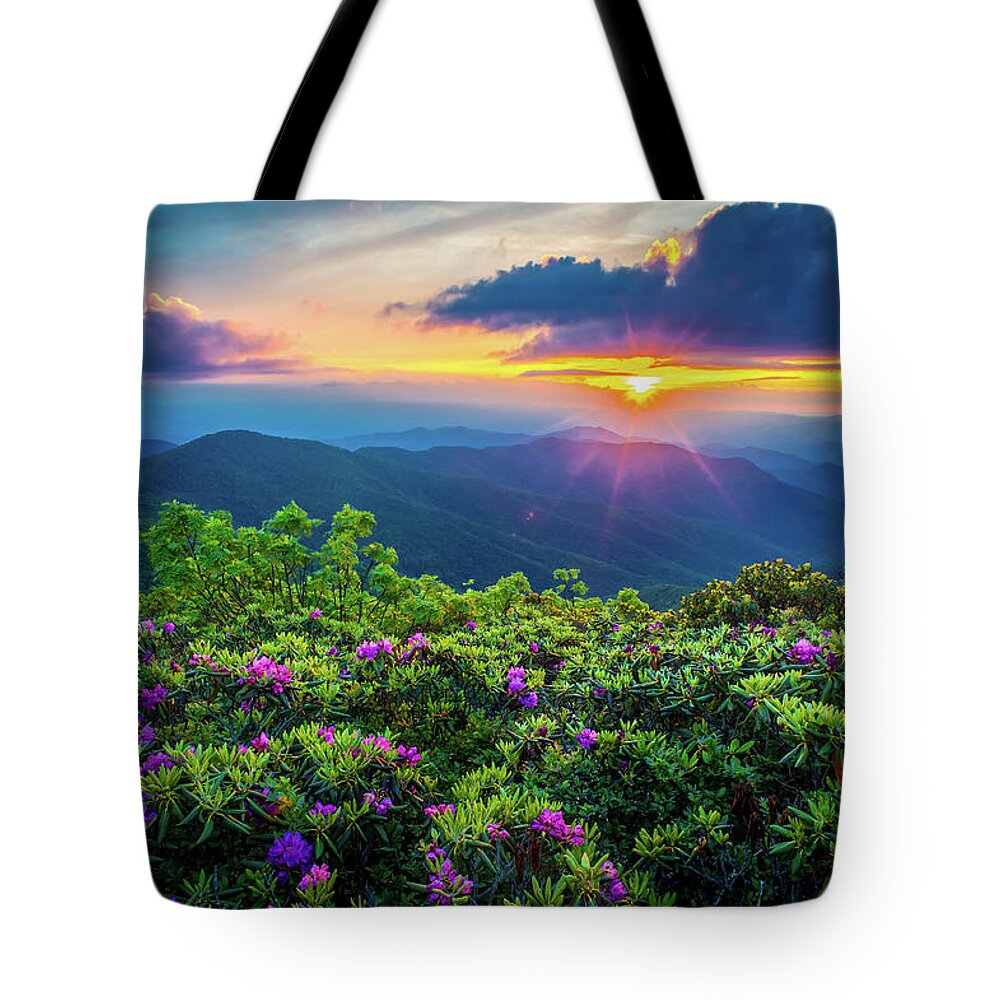 Spring Tote Bag featuring the photograph Blue Ridge Parkway NC Flowering Craggy by Robert Stephens