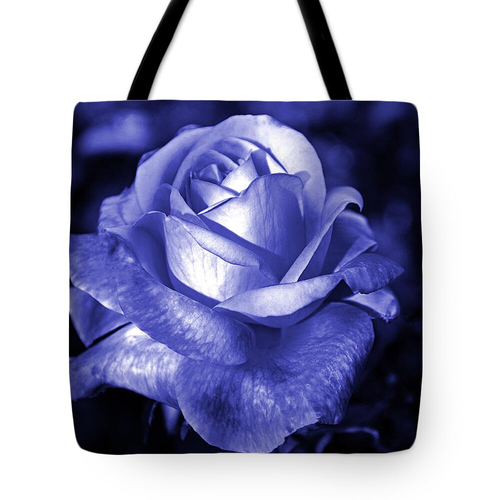 Blue Tote Bag featuring the photograph Blue Rose by Frank Larkin