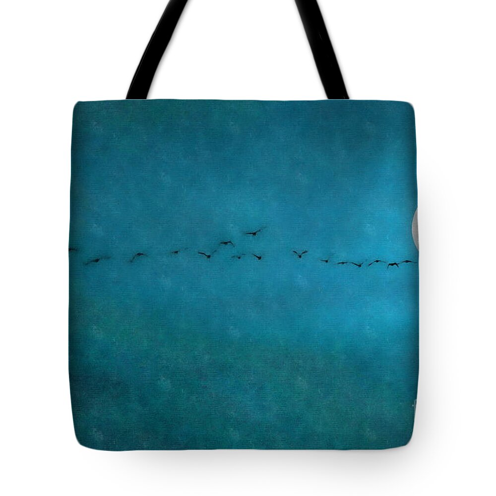 Blue Sky Tote Bag featuring the photograph Blue Skies by Andrea Kollo