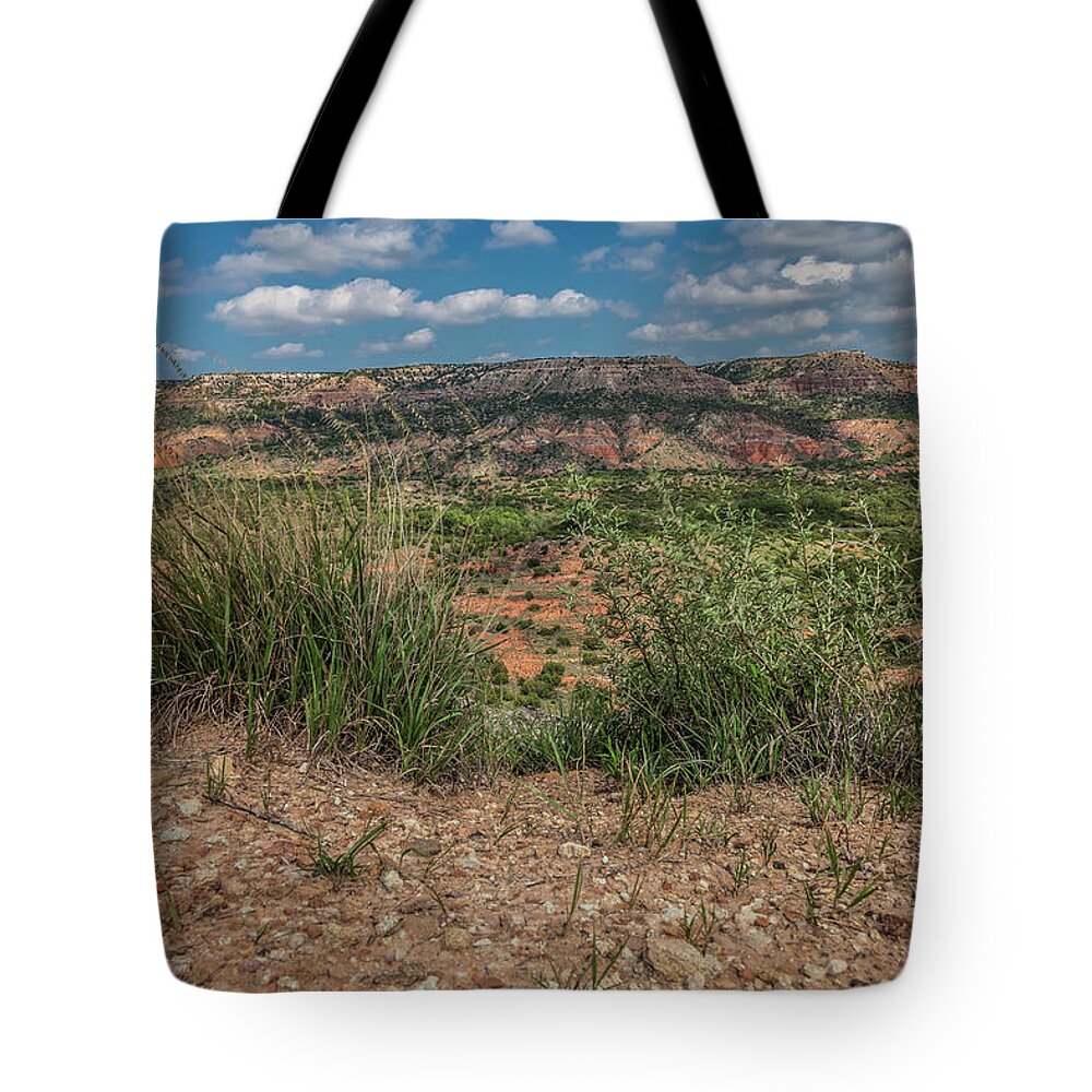 Nature Tote Bag featuring the photograph Blue Skies over Palo Duro Canyon by Judy Wright Lott