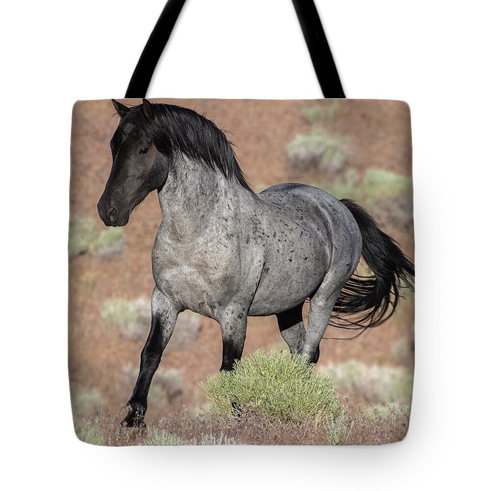 Wild Horse Tote Bag featuring the photograph Blue surprise by John T Humphrey