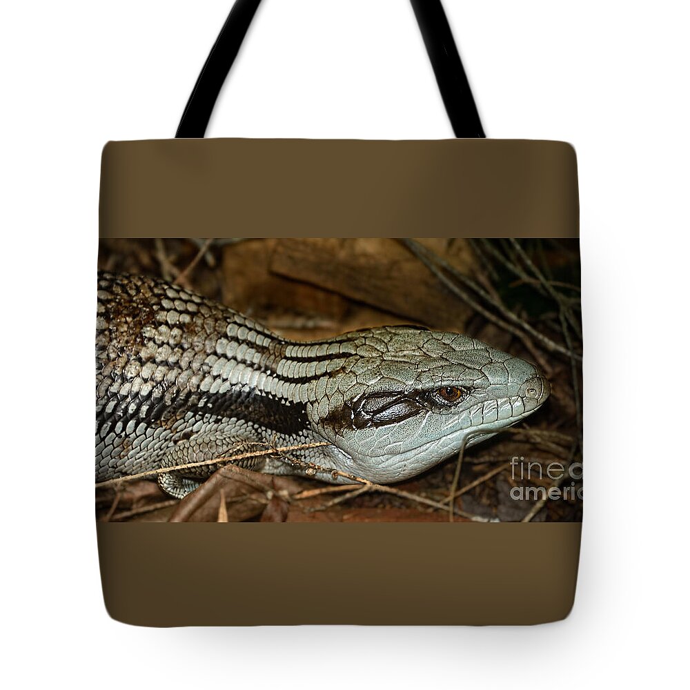 Photography Tote Bag featuring the photograph Blue Tongue Lizard by Kaye Menner by Kaye Menner