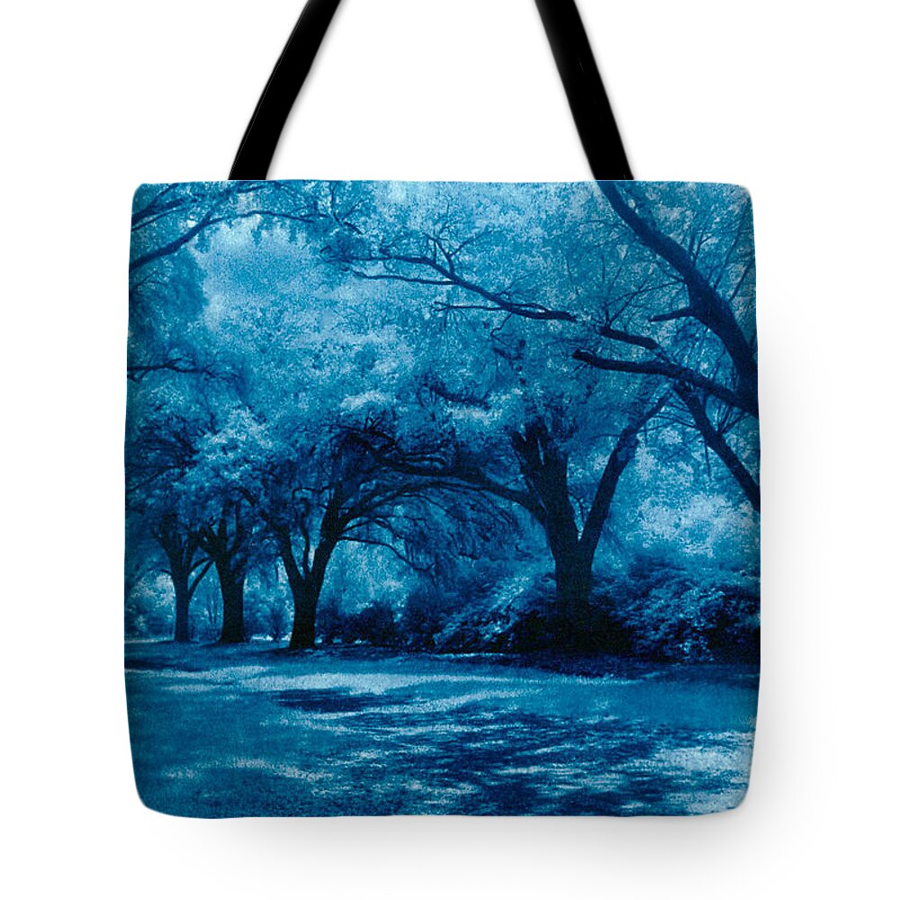 Landscape Tote Bag featuring the photograph Blue Way by Jean Wolfrum