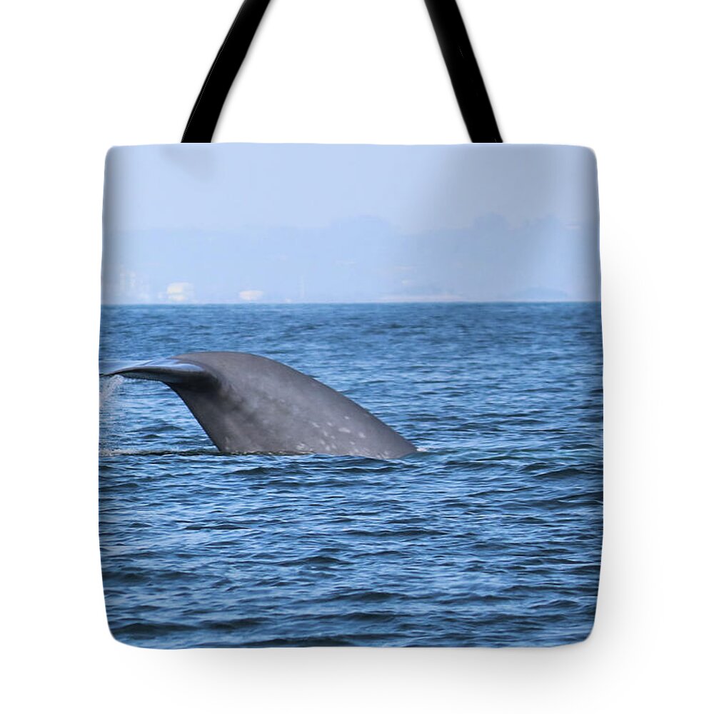 Blue Whale Tote Bag featuring the photograph Blue Whale Tail Flop by Suzanne Luft