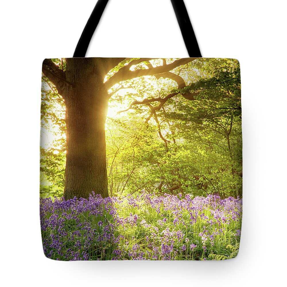 Bluebells Tote Bag featuring the photograph Bluebell wood with magical morning sunrise by Simon Bratt
