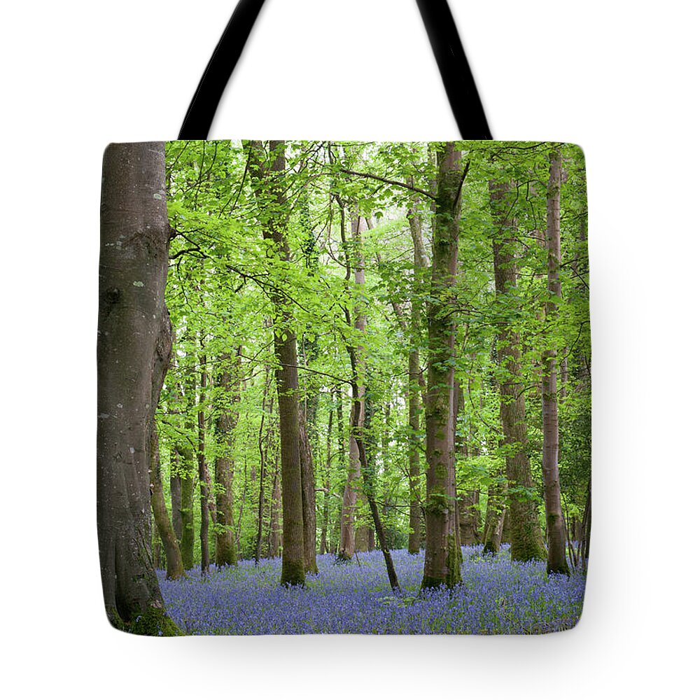 Helen Northcott Tote Bag featuring the photograph Bluebell Woods ii by Helen Jackson