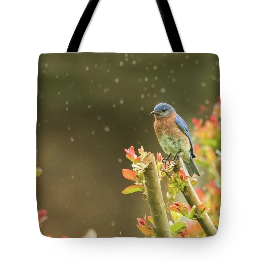 Bluebird In Gentle Rain Tote Bag featuring the photograph Bluebird in Gentle Rain by Jemmy Archer