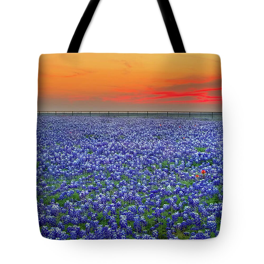 Texas Bluebonnets Tote Bag featuring the photograph Bluebonnet Sunset Vista - Texas landscape by Jon Holiday