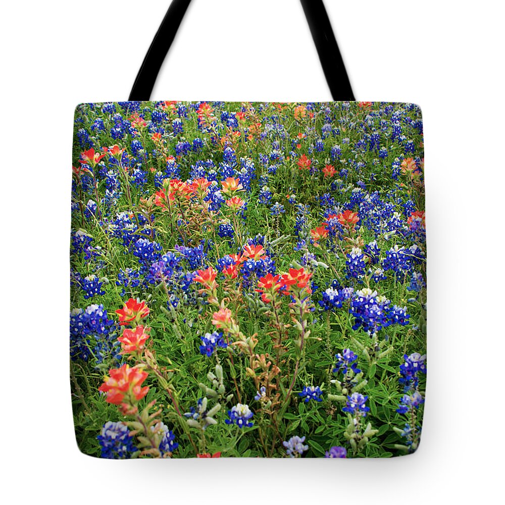 Bluebonnet Pink And Yellow Indian Paintbrush Wild Flowers Landscapes In Texas Tote Bag featuring the photograph Bluebonnets and Paintbrushes 3 - Texas by Brian Harig