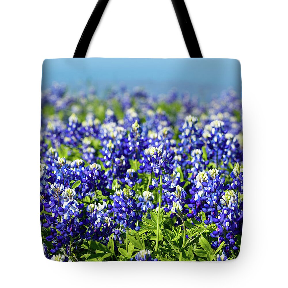 Austin Tote Bag featuring the photograph Bluebonnets by Raul Rodriguez